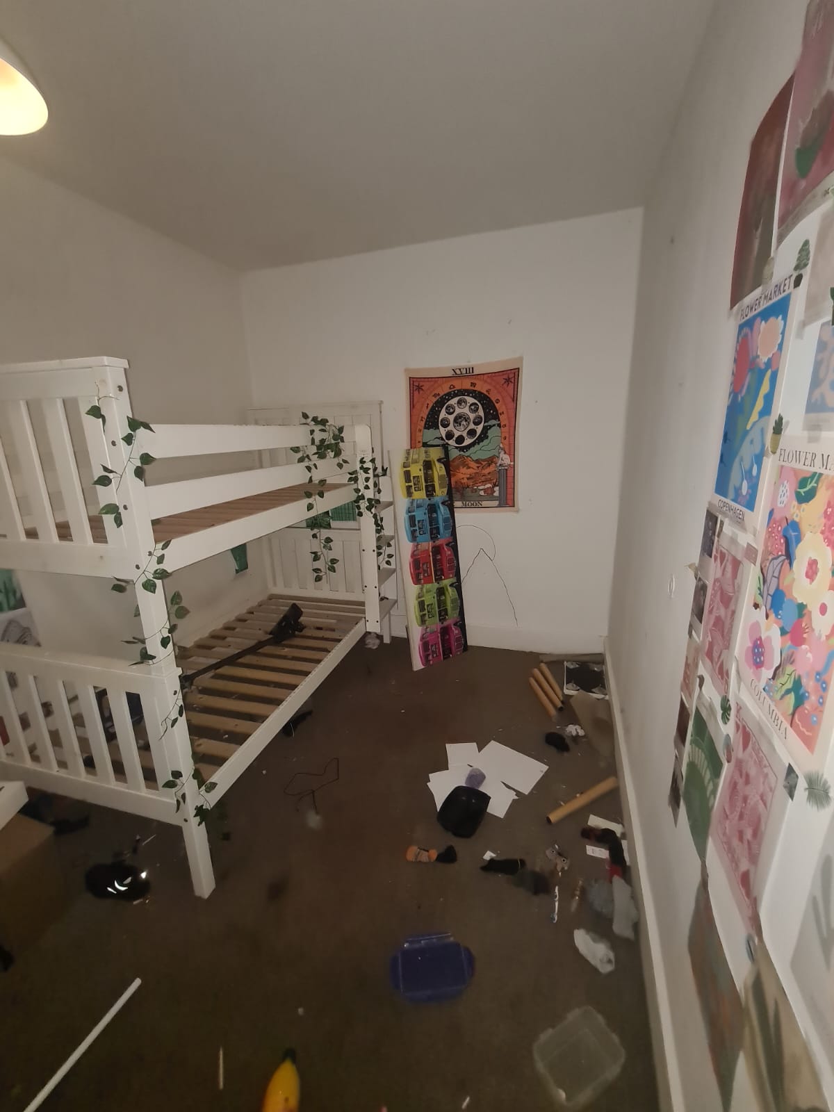 WhatsApp Image 2026-04-14 at 15.19.24