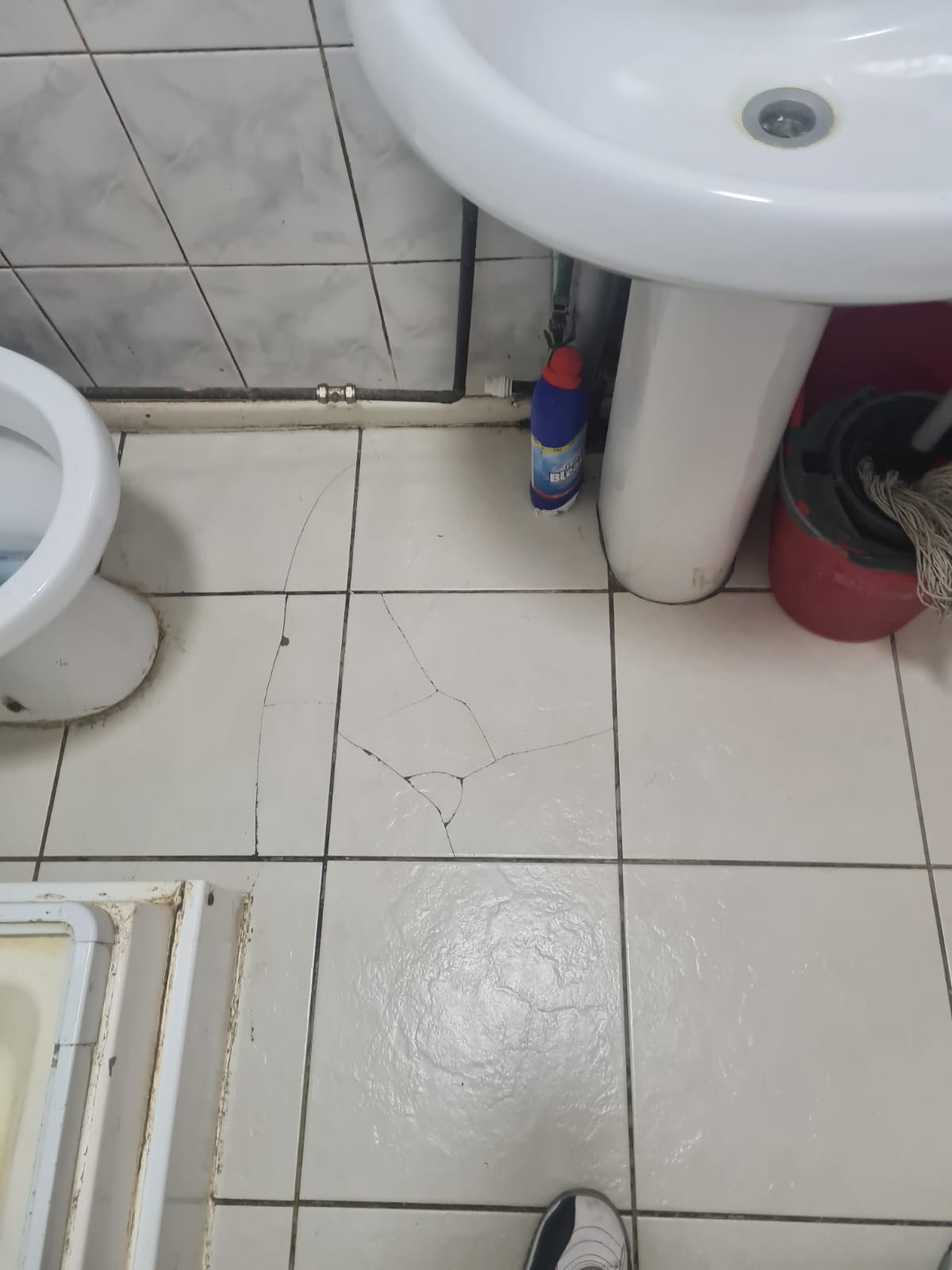 WhatsApp Image 2026-04-14 at 16.53.29 (3)